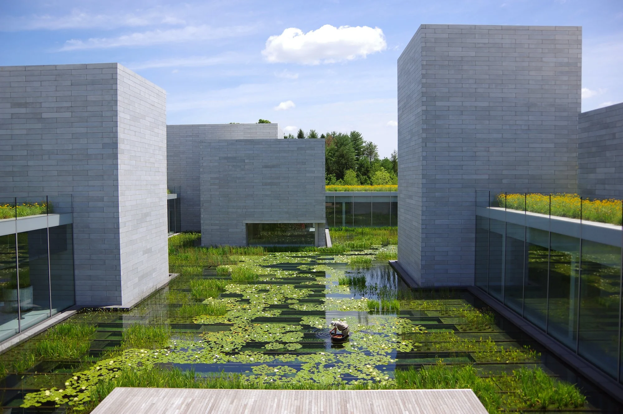 세계의 미술관 ⑪ 침묵과 사색, 미국 '글렌스톤 뮤지엄(Glenstone)'